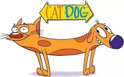 活動預告 | 今夜是誰流下了時代的眼淚 #動畫創作與研究協會 綜藝節目